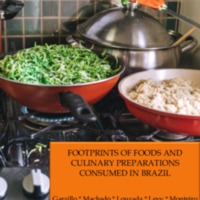 Footprints of foods and culinary preparations consumed in Brazil